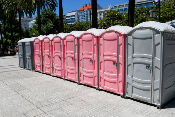 Best Portable Restrooms for Agricultural Sites  in Hanamaulu, HI
